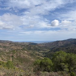 IMG_0307