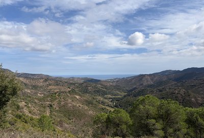 IMG_0307