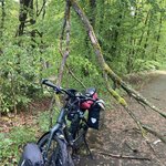 Afbeelding blog