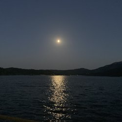 IMG_7151