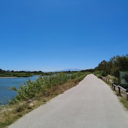 dji_mimo_20260612_150628_38_1781279977205_photo